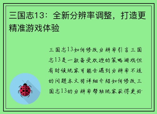 三国志13：全新分辨率调整，打造更精准游戏体验